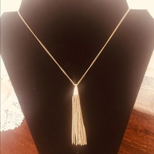30” Silver Tassel Necklace